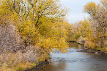 Fototapeta premium Cache la Poudre River in Fort Collins, Colorado, late fall scenery