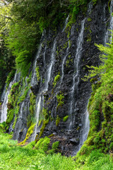日本静岡富士宮の白糸の滝