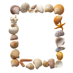 Square photo frame decorated with seashells isolated on white background