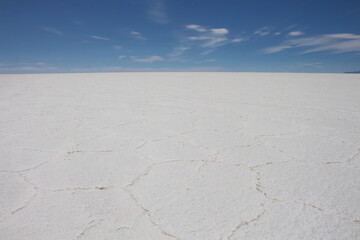 Incahuasi Island in the Uyuni Salt Flats