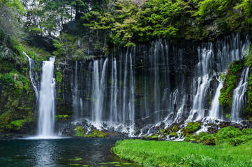 Obraz premium 日本静岡富士宮の白糸の滝