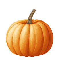 Obraz premium Orange pumpkin on white isolate background