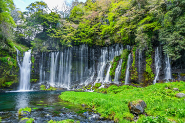 日本静岡富士宮の白糸の滝