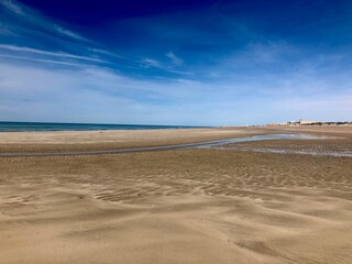sand dunes on the beach