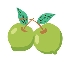 apple fruit design. Apple icon isolated vector illustration