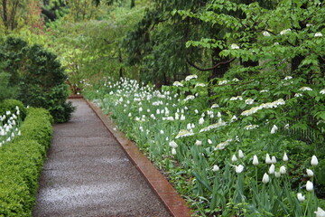 path in the garden