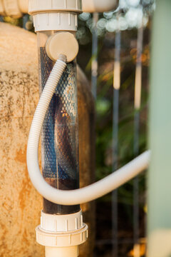 Filter attached to pool pump for backyard swimming pool