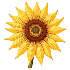 Vibrant sunflower blooms nature graphic art overlapping lines growth