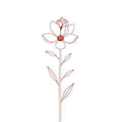 Rustic Redline Floral Illustration: Single Stem Botanical Line Art