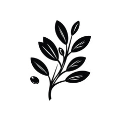 Obraz premium Branch with Leaves Silhouette on White Background, Olive Element Isolated