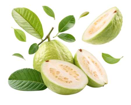 guava with half slices falling or floating in the air isolated on a white background png