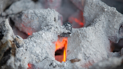 Firewood burning in a brazier, close-up.