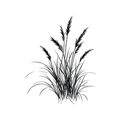 Silhouette Grass on Transparent Background