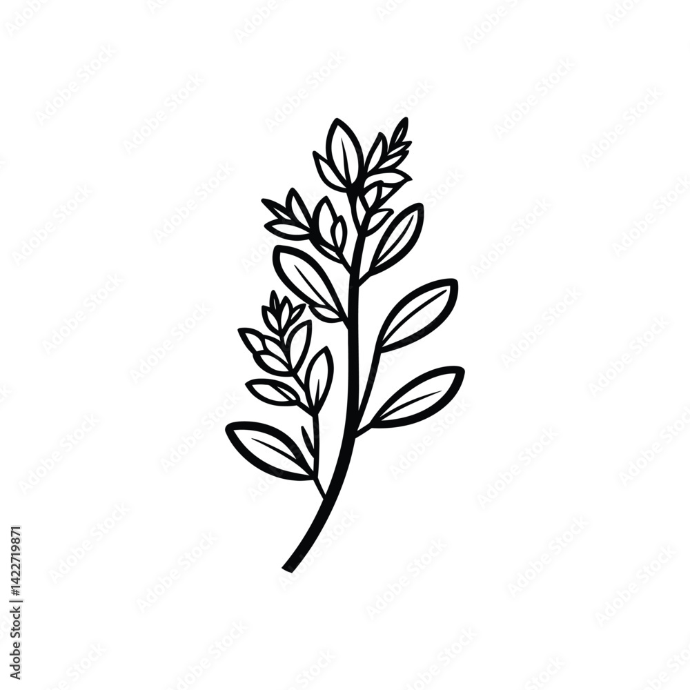 Poster simple herb twig with leaves line art on transparent background design