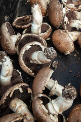 Fresh portobello mushrooms displayed at the market
