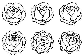 Cabbage salad ideas for healthy eating plan