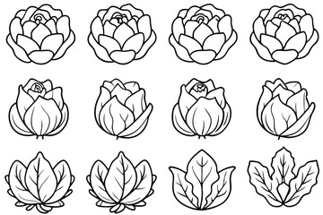 Cabbage recipes for delicious nutritious meals