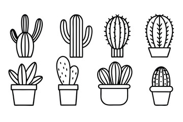 Cactus Minimal Home Decor Ideas for Small Rooms