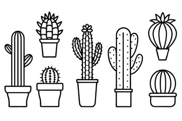 Cactus Minimal Trends for Elegant Minimalist Living