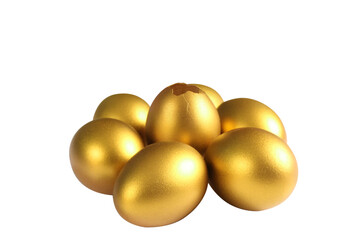 Golden egg discovery nesting area photography artistic display close-up view symbol of prosperity and wealth