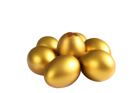 Golden egg discovery nesting area photography artistic display close-up view symbol of prosperity and wealth