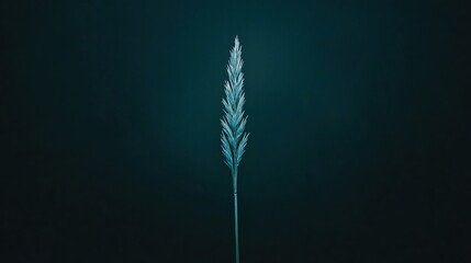 A solitary plant stands tall against a dark backdrop, showcasing intricate details of its leaf structure illuminated softly.