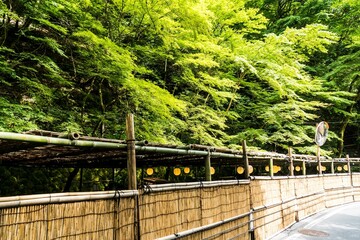 Japan Kansai Kyoto
