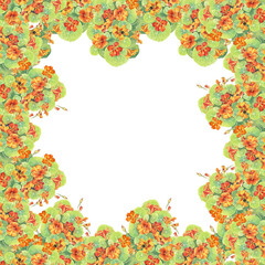Watercolor square frame with copy space. Yellow and orange bouquet flower nasturtium with leaves and bumblebee on white background. Hand-drawn summer or autumn. Wedding celebration wallpaper