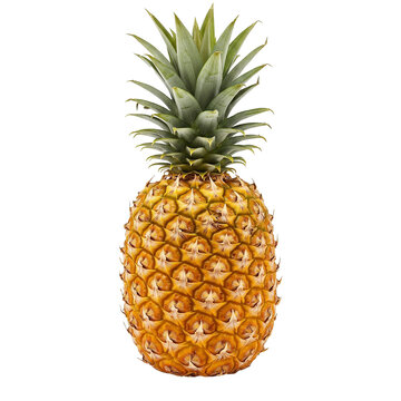 pineapple on white background