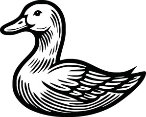 Black and white pen and ink line drawing mallard duck male duck bird standing illustration spot vector art