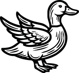 Black and white pen and ink line drawing mallard duck male duck bird standing illustration spot vector art