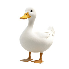 White Duck Image: High-Quality Photo of Domestic Duck on white background