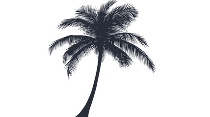 This image shows a stylized silhouette of a palm tree against a pure white background. The palm tree is rendered in a dark, almost charcoal grey monochrome tone.
