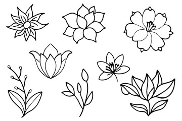 Hand Drawn Floral Prints Adding Charm to Spaces