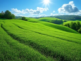 Naklejka premium Sunny day over rolling green hills and vibrant wheat field.
