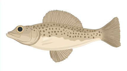 Naklejka premium A digital illustration depicts a fish that is rendered in light tan or beige. The fish has a subtle mottled pattern of small dark brown spots all over its body.