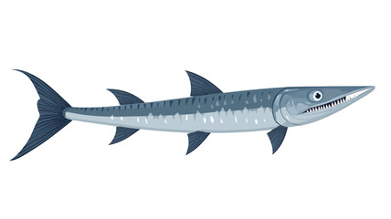 Fototapeta premium digital illustration of a barracuda, with blue as the main color and a pure white background. The illustration shows the barracuda's slender body and sharp teeth.