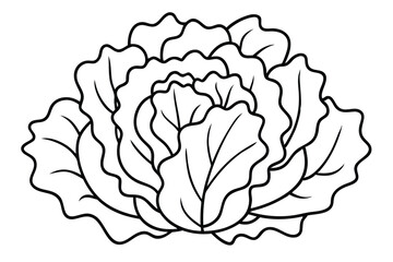 Lettuce Seasoning Tricks for Tasty Homemade Dishes