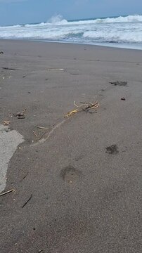 Black Sand Sea and the crashing waves: Stunning Natural Harmony