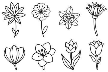 Botanical Linear Flo Delicate Botanical Shapes for Modern Spaces