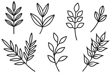 Branches and leaves provide shade and habitat for wildlife