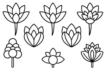 Buckwheat Cooking Techniques for Perfectly Flavored Dishes