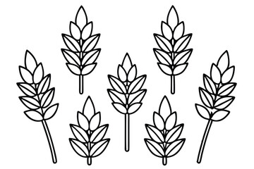 Buckwheat Health Advantages You Need to Know