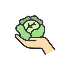 Cabbage colored icons, minimalist vector illustration ,simple transparent graphic element .Isolated on white background