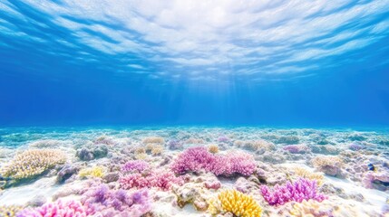 Fototapeta premium Vibrant coral reef underwater scene. Sunlight streams through the clear water, illuminating a variety of colorful corals on a sandy bottom. A serene and healthy marine ecosystem