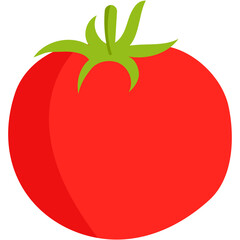 tomato vector illustration