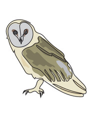 Owl in continuous line drawing on a white background.