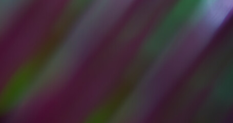 Flare gloss. Blur twinkle texture. Defocused purple green color sparkle lens gleam floating on...