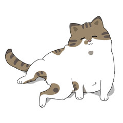 ねこ　ネコ　猫　寝る猫