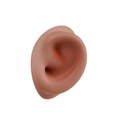 Human Organ and Anatomy 3d icon render